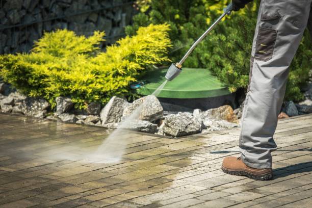 Best Restaurant Pressure Washing  in Trenton, MI