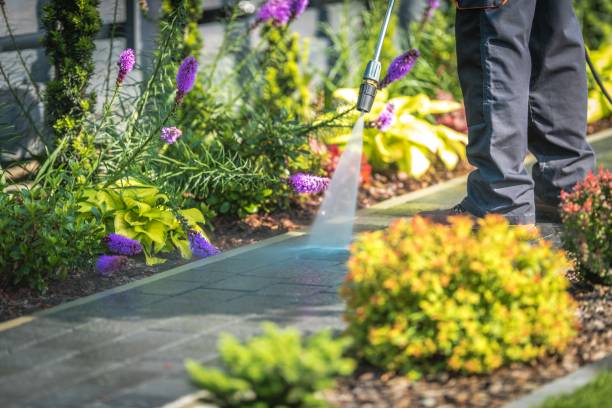 Best Gutter Cleaning  in Trenton, MI