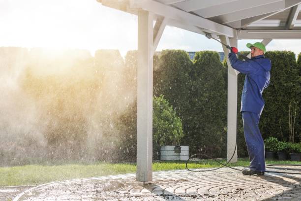 Professional  Pressure Washing Services in Trenton, MI