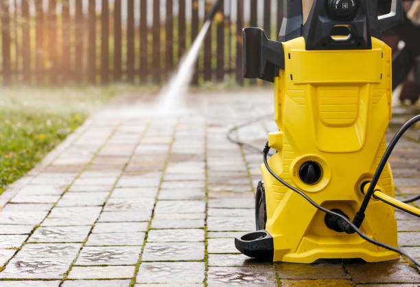 Best Roof Washing  in Trenton, MI