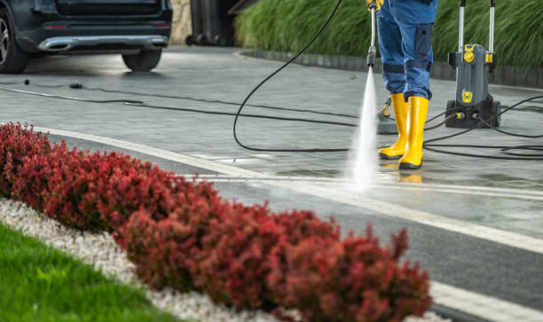 Best Spring Cleaning  in Trenton, MI